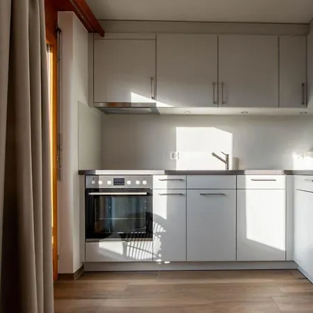 Zurschmitten 17 1- Og Sued Appartement-fewo- Dusche Und Bad- Wc By Interhome Appartamento